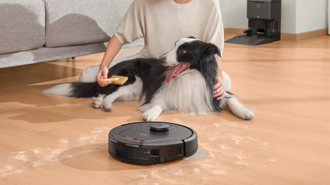 How to Remove Dog Urine Smell from Floors with Quick and Effective Solutions